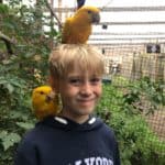 Junge mit Papagei in der Affenwelt in Hillerød