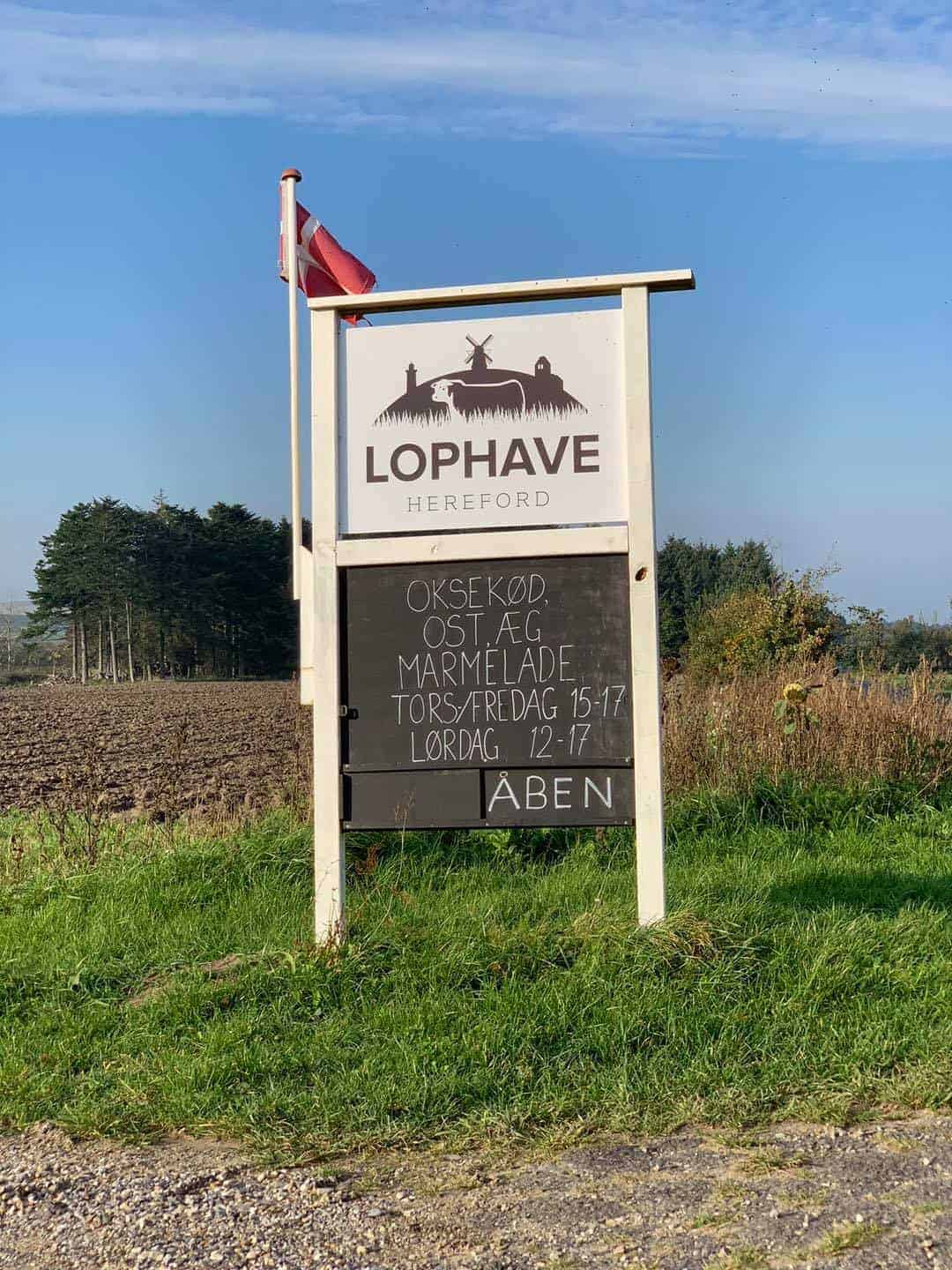 Lophave-Hereford-Schild