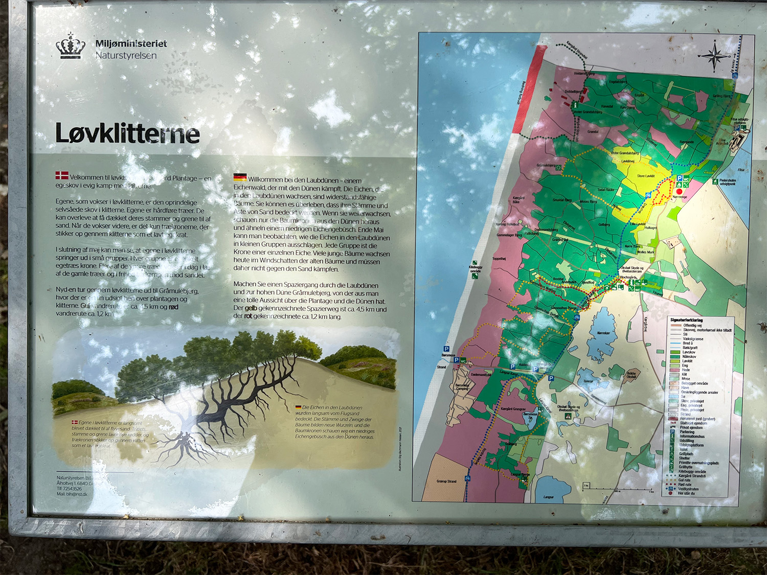 Information board by the sandy oak forest